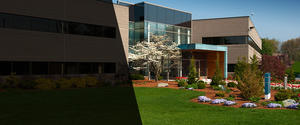 Ben Wheeler Landscapers