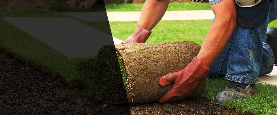 Ben Wheeler Landscapers